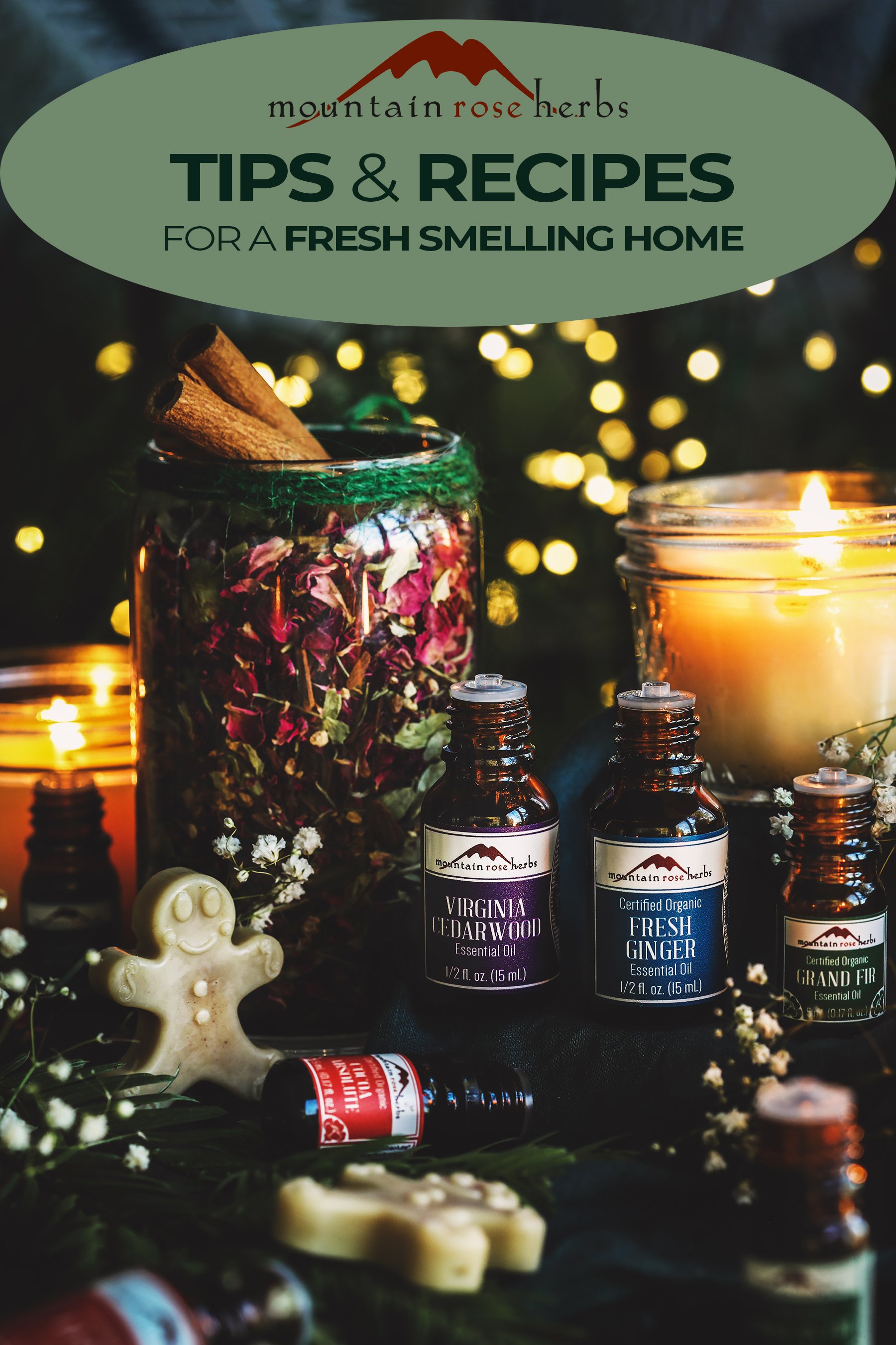 Tips and Recipes for a FreshSmelling Home